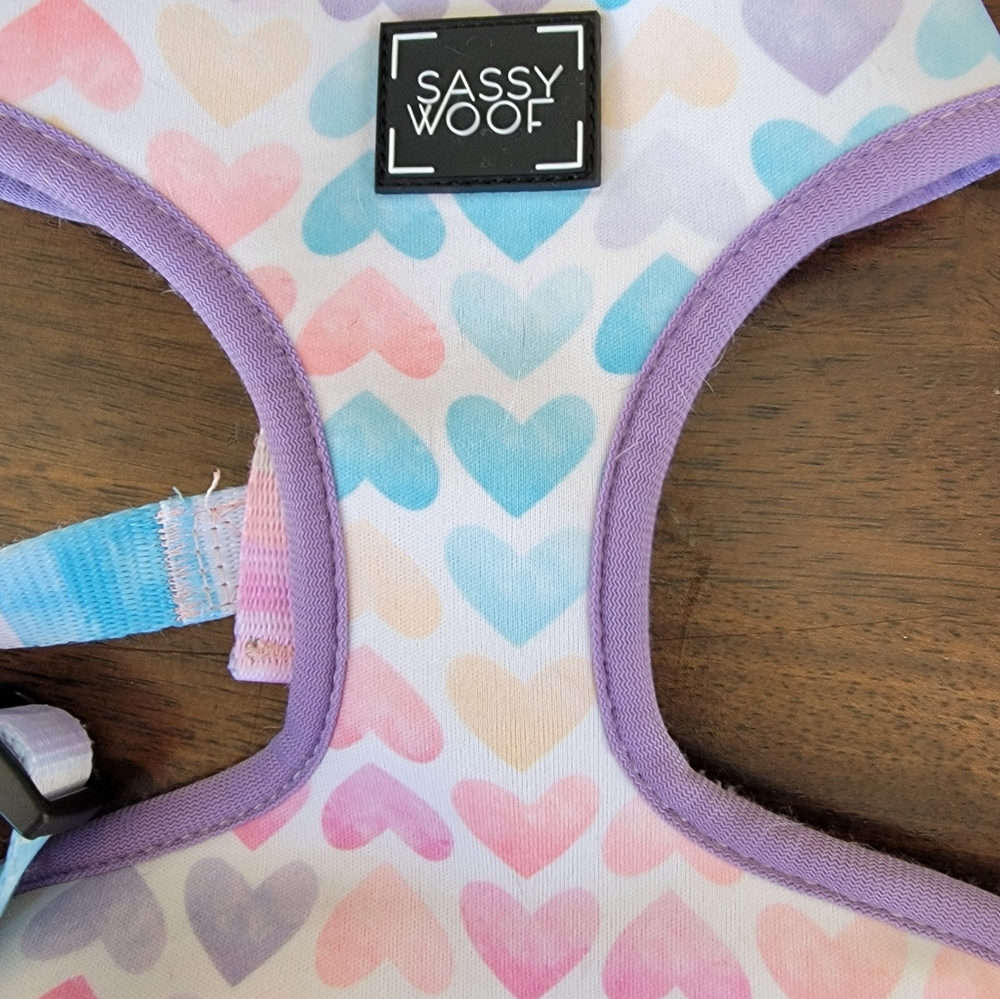 Sassy woof harness